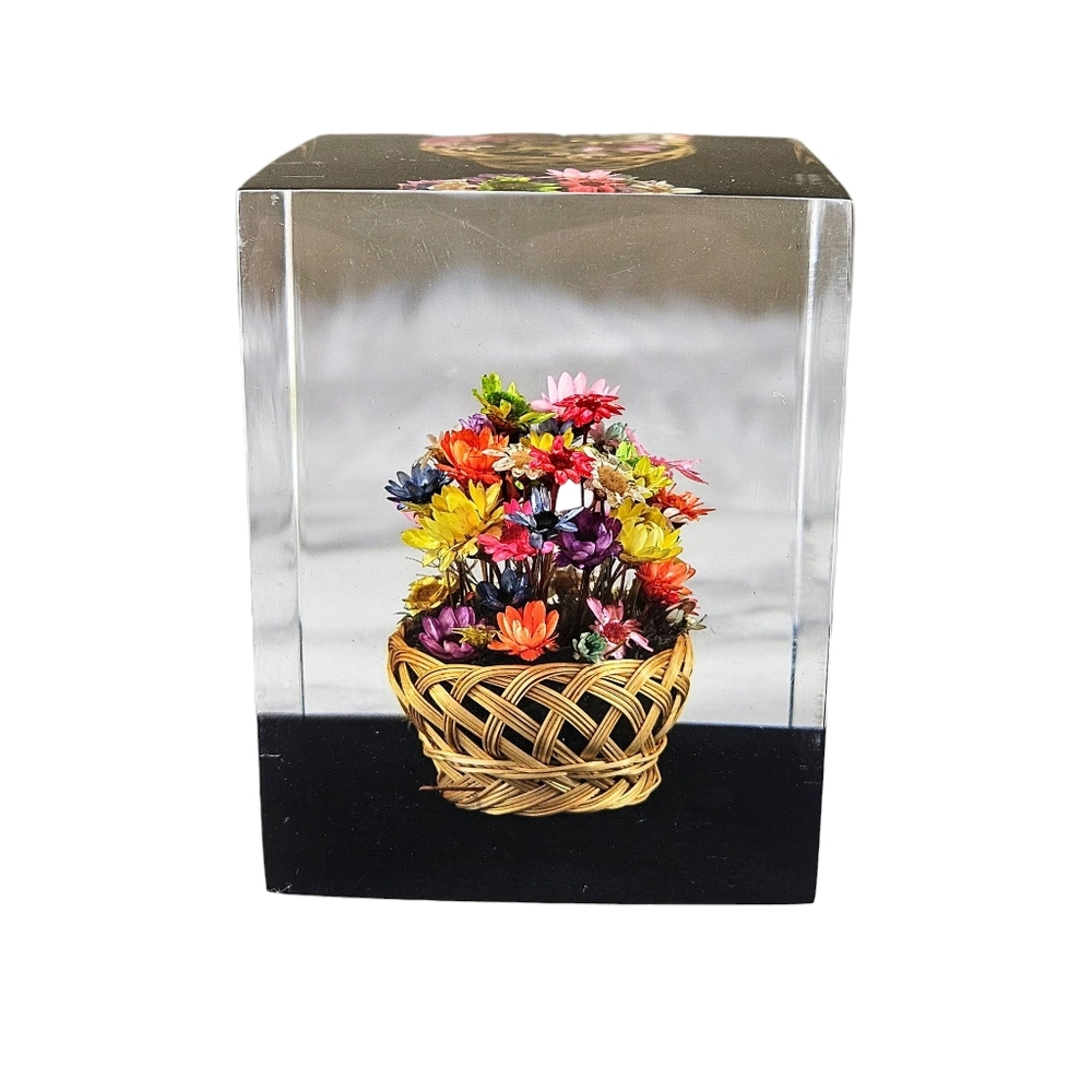 Vintage Lucite Daisyglas Paperweight Dried Flower Basket MCM Retro 70s